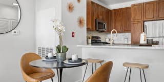 Sofi Lyndhurst Gallery 4