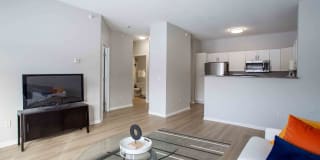 Avana Addison Gallery 15