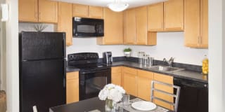 Kanso Silver Spring Gallery 6