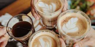 Coral Palms at Oakleaf Gallery 32