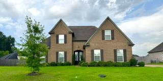 8618 Ainsley cove Gallery 1