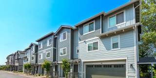 Aster Townhomes Gallery 7