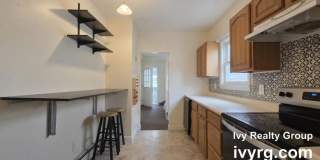 100 Alpine Gallery 3