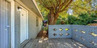 RENOVATED 2/1 w/ New Flooring/Paint, Fenced Yard, Deck, Walk In Closets, Granite Counters, & Stainless Appliances ! Avail NOW for $1295/month Gallery 3