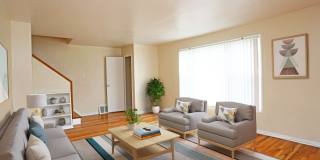 Central Park Gallery 1