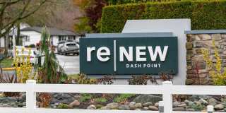 ReNew Dash Point Gallery 67