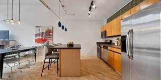 203 S SANGAMON Street Gallery 10