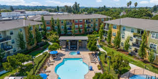 The Artisan Gallery 41