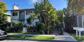 135 Flower Gallery 1