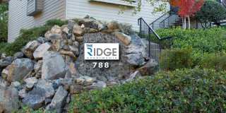 The Ridge Gallery 11