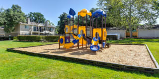 Hidden Oaks Gallery 27