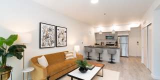 Henley Place Gallery 4