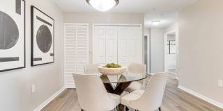 Lexington Palms at the Forum Gallery 12