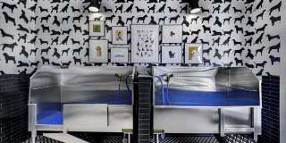 Folksong Flowery Branch Gallery 26