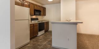 Kingston Green Gallery 1