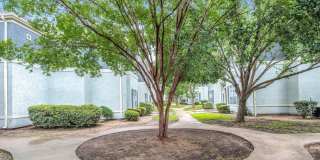 Villas at Willow Springs Apartments Gallery 10