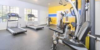 Canyon Point Gallery 6