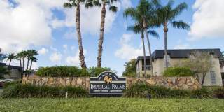 Imperial Palms Gallery 52