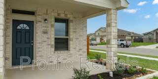 5101 Rose Petal Court - 1 Gallery 4