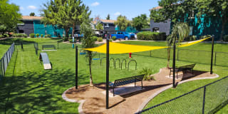 Morada Grande Gallery 16