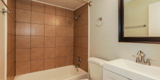 Newly Renovated Single Family Home | 3 BR/2BA | 1-Car Covered Parking | Gated backyard Gallery 16