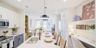 Vintage Lake Powell Gallery 2