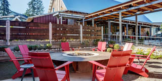 Bailey Farm Gallery 18