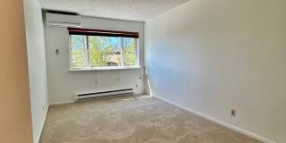 Beautiful & Bright 2-Bedroom + Office Corner Condo in North Boulder Gallery 33