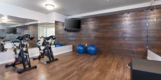 Bell Mt. Tam Gallery 12