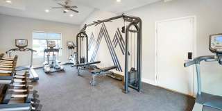 Ascent at Havana Gallery 11