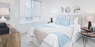 Thomas Court Gallery 6