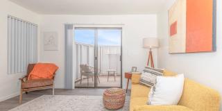 Metro Tucson Gallery 65