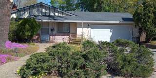 Los Gatos - Inviting Los Gatos Home with Classic Charm & Entertainer’s Backyard Gallery 1