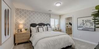 911 Cadence View Way Gallery 15