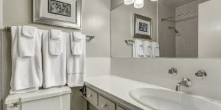 Telegraph Hill Gallery 43