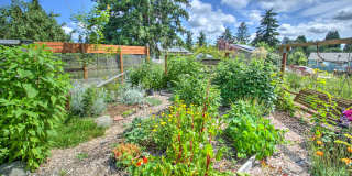West Olympia 2bd 1 bath Cottage Rambler with Garden Space Gallery 22