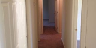 Recently Remodeled Four Bedroom Rosemont Home with Large Backyard! Gallery 6