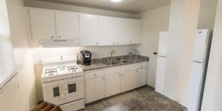 Lake of the Woods Gallery 1