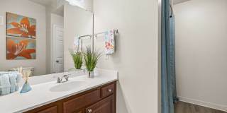 Avenue at Timberlin Park Gallery 7