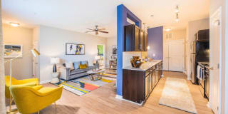 Element Carolina Bay Element Carolina Bay Gallery 12