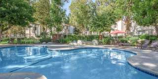Country Woods Apartment Homes Gallery 6