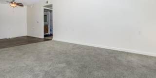 Element on the Loop Gallery 8