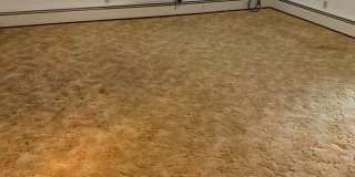 Nandale - Yellow Gallery 5