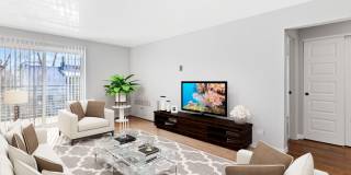 The Abraham The Abraham Gallery 1