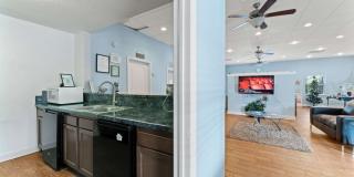 Sea Oats Sea Oats Gallery 50