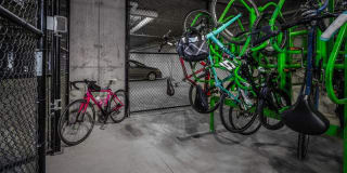 The Mastlight Gallery 18