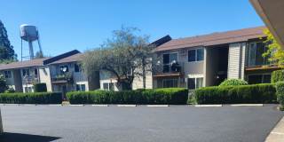 Emerald East Apartments Gallery 3