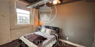 215 Ice Avenue - 215 Gallery 2