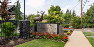 Sandy Place Apartment Homes Gallery 11