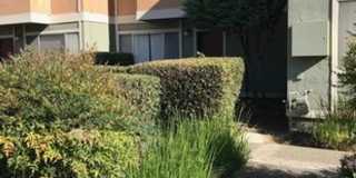 Davis 3 bedroom 2 bath condo in a great location-Fall rental Gallery 1